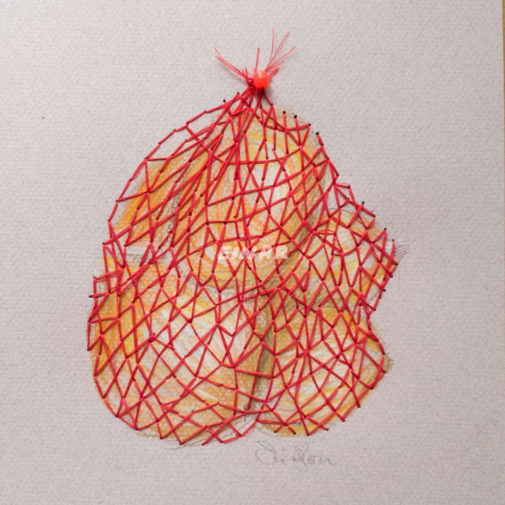 Brown onions are enrobed in a red, netted back; displayed against grey card.